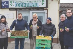 20220407_Hp_Salat_Pflanzen_Aktion_SPD_Fraktion_Troisdorf_Oberlar_Verteilung_Denis_Waldaestl_III
