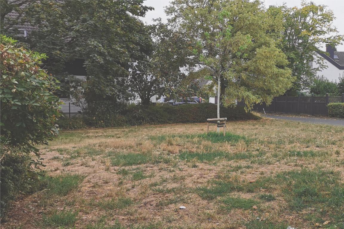 20220818_Hp_Gemeinschaftsgarten_Oberlar_SPD_Fraktion_Troisdorf_Ortschaftsausschuss