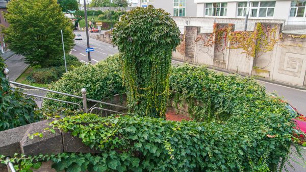 SPD_Fraktion_Troisdorf_Innenstadt_Begehung_Klima_Dokumentation_Fassadengeruenung_vorhanden