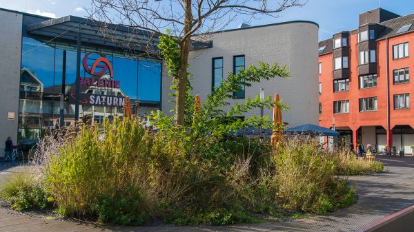 SPD_Fraktion_Troisdorf_Innenstadt_Begehung_Klima_Dokumentation_Wilhelm_Hamacher_Platz_Gruen_Baumpflege