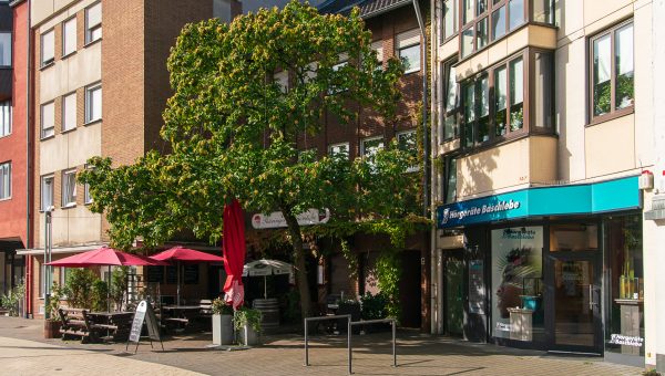 SPD_Fraktion_Troisdorf_Innenstadt_Begehung_Klima_Dokumentation_Wilhelm_Hamacher_Stra__e_Gruen_Baeume